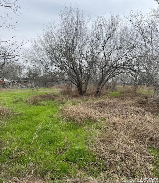 view of landscape