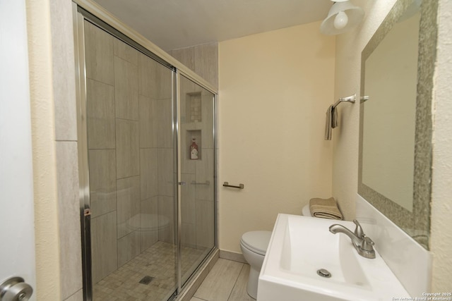 bathroom featuring toilet, a stall shower, and a sink