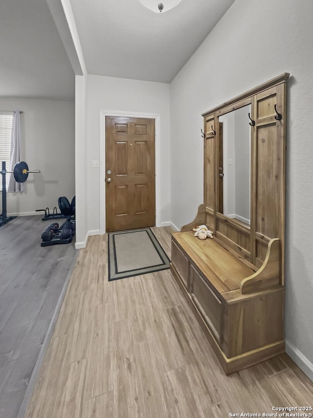 2832 Klein Way, New Braunfels, TX 78130 - mudroom with light wood-type flooring and baseboards