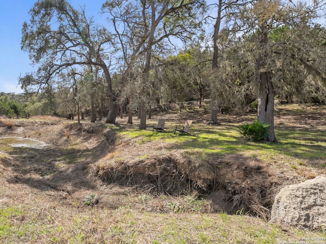 view of landscape