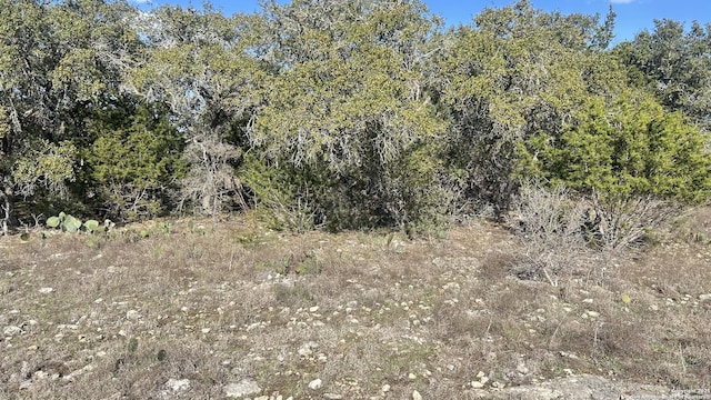 102 S John Bird, Blanco TX, 78006 land for sale