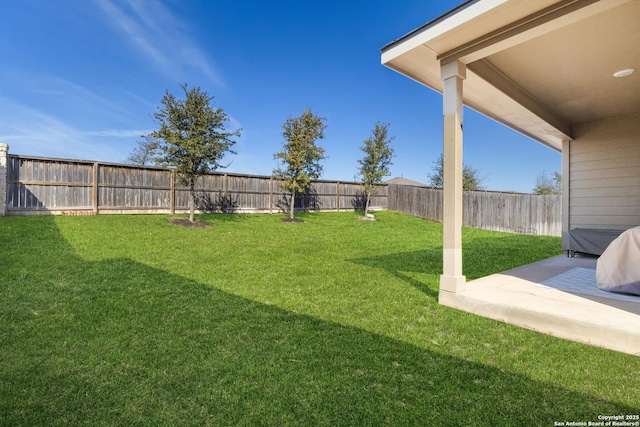 view of yard featuring a fenced backyard and a patio