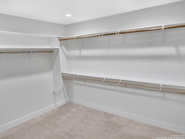 spacious closet featuring light carpet