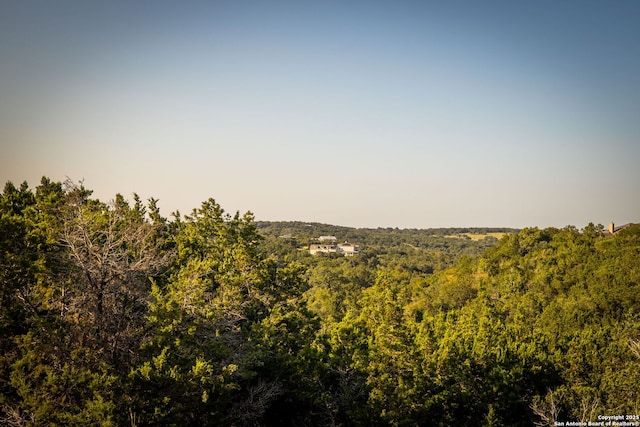 view of local wilderness with a wooded view