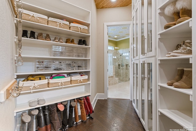 spacious closet featuring dark wood-style flooring