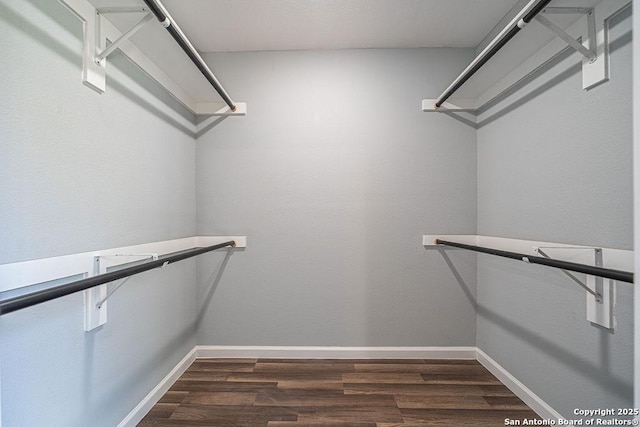 spacious closet featuring dark wood finished floors