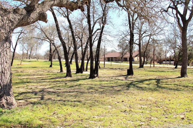 237 Heritage View Dr, Adkins, TX 78223 - view of yard