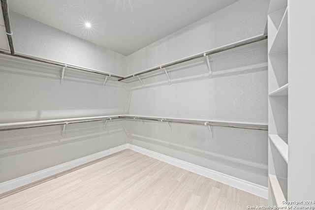 spacious closet featuring wood finished floors