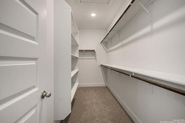 walk in closet featuring light colored carpet