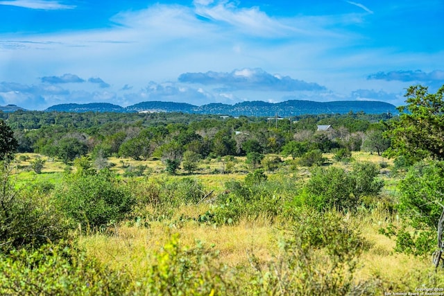 view of mountain feature featuring a forest view