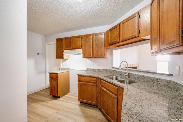 kitchen featuring brown cabinets, a sink, light wood-style flooring, and under cabinet range hood