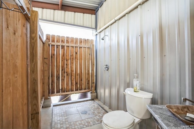 bathroom with toilet and a shower