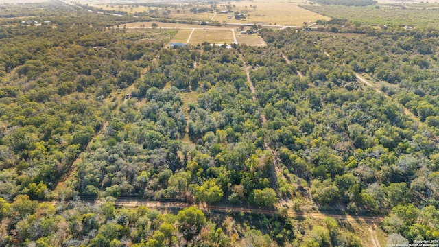 bird's eye view with a forest view