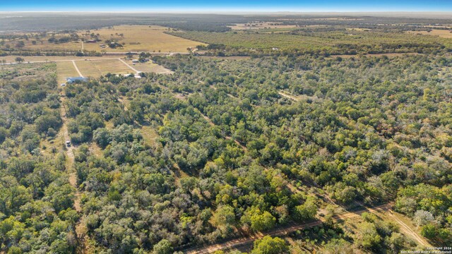 aerial view with a forest view