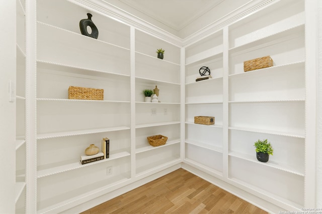 11217 Cave Crk, Helotes, TX 78023 - view of pantry