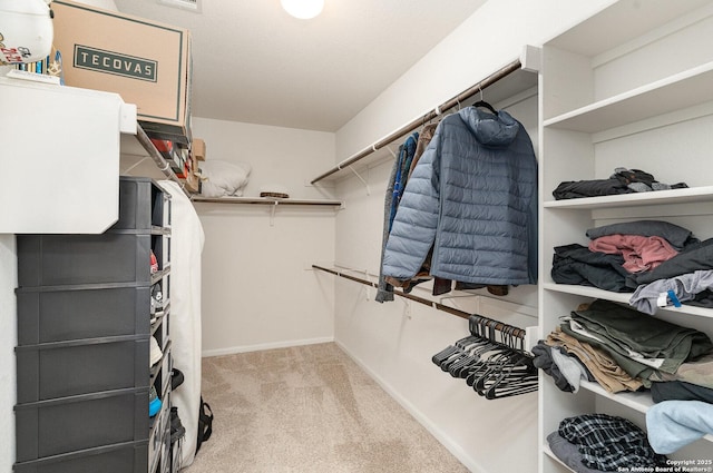 spacious closet featuring carpet floors