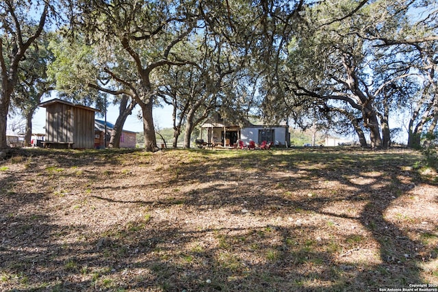 view of yard with an outdoor structure