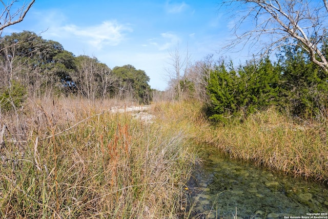 view of nature