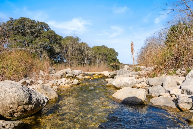 view of local wilderness