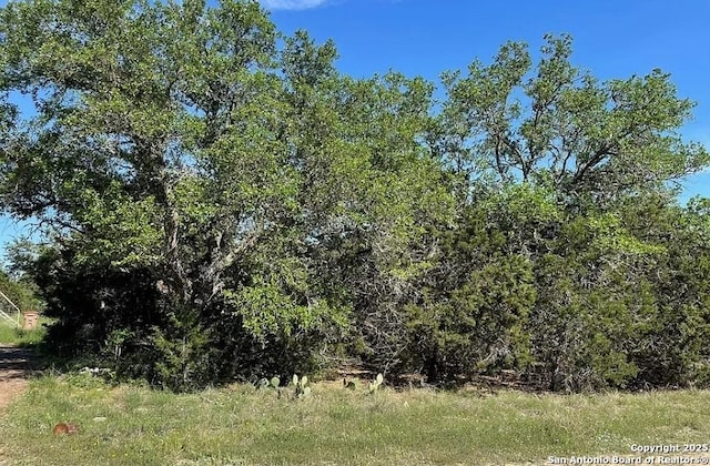 Listing photo 2 for 1036 Deer Valley Pass, Spring Branch TX 78070