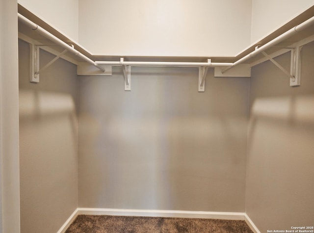 spacious closet with carpet