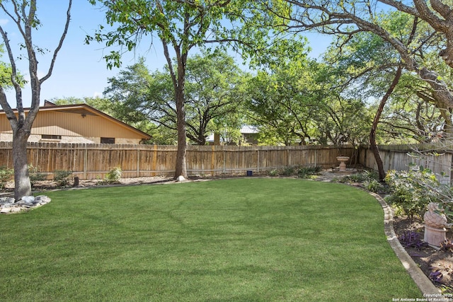 view of yard with a fenced backyard