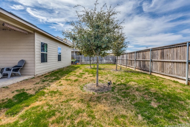 view of yard with a fenced backyard