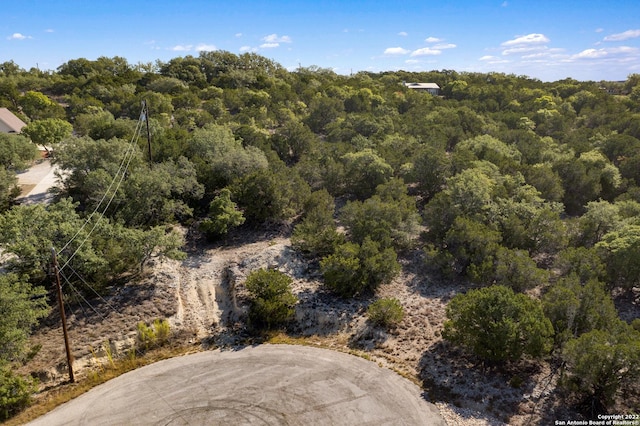 Listing photo 2 for 1012 Parton Rd, Canyon Lake TX 78133