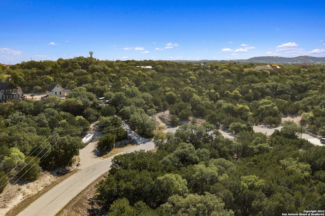 Listing photo 3 for 1012 Parton Rd, Canyon Lake TX 78133