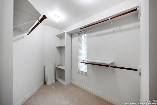 walk in closet featuring carpet flooring