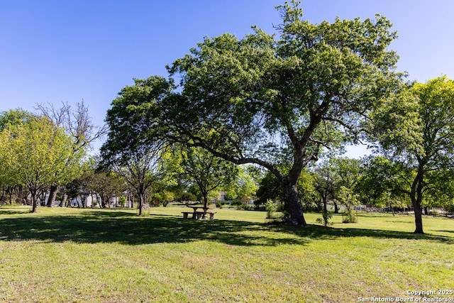 view of property's community with a yard