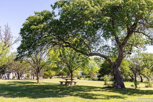 view of home's community with a lawn