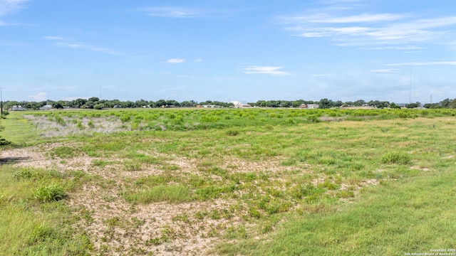 view of local wilderness featuring a rural view