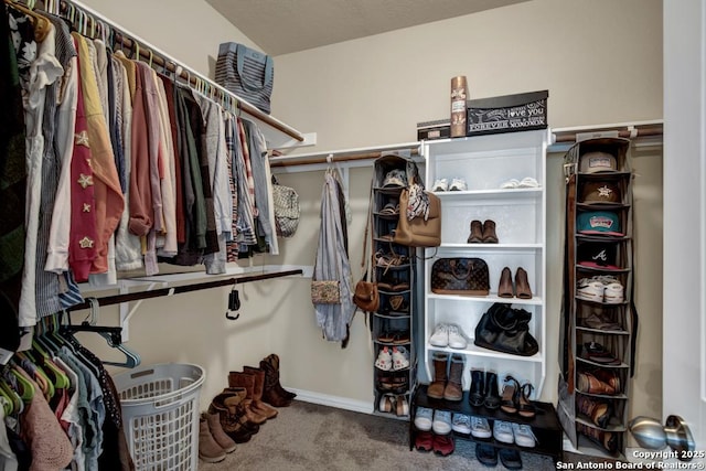 walk in closet with carpet floors