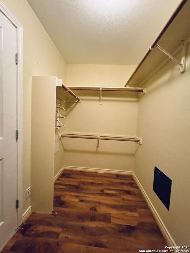 spacious closet featuring wood finished floors