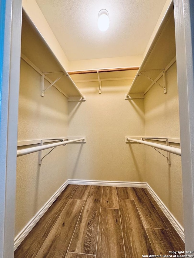 walk in closet featuring dark wood-type flooring