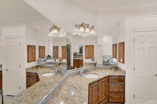 bathroom featuring ornamental molding and vanity