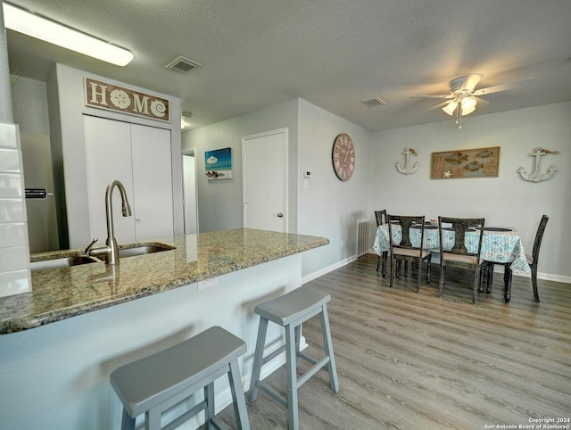 kitchen featuring stone countertops, light wood-style floors, visible vents, and a sink