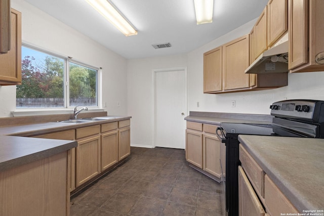 kitchen with electric range oven, light brown cabinetry, a sink, and under cabinet range hood