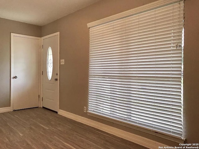 entrance foyer featuring baseboards and wood finished floors