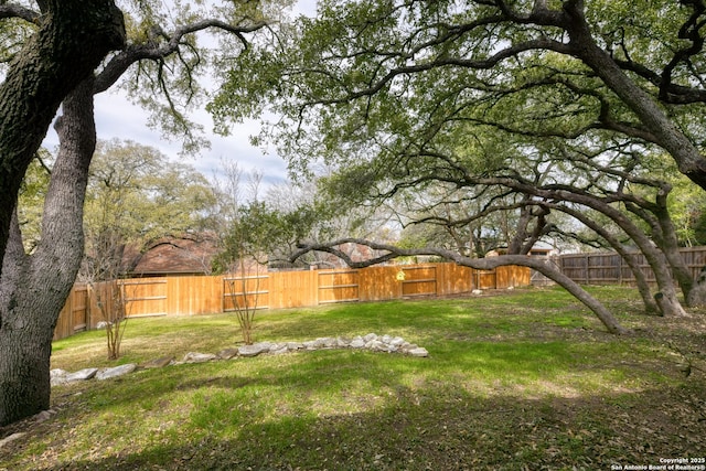 view of yard with a fenced backyard