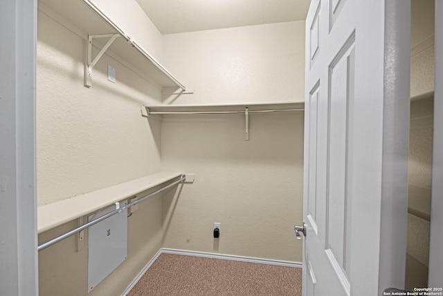 spacious closet featuring light colored carpet