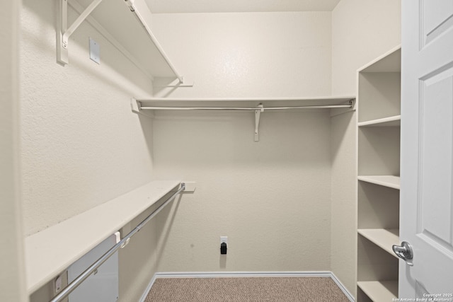 walk in closet featuring carpet