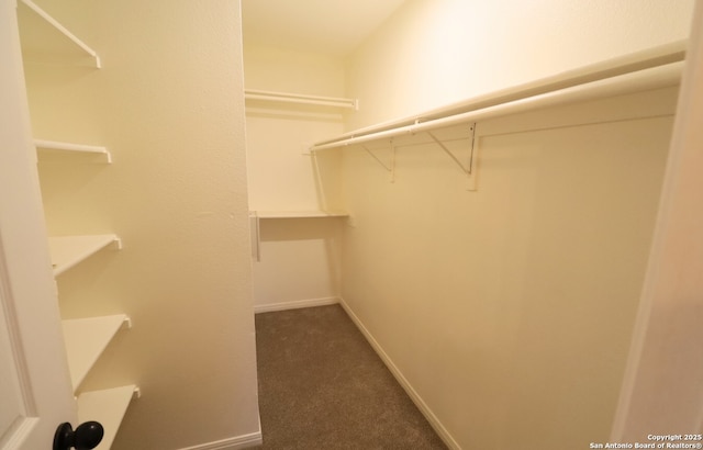 spacious closet with dark colored carpet