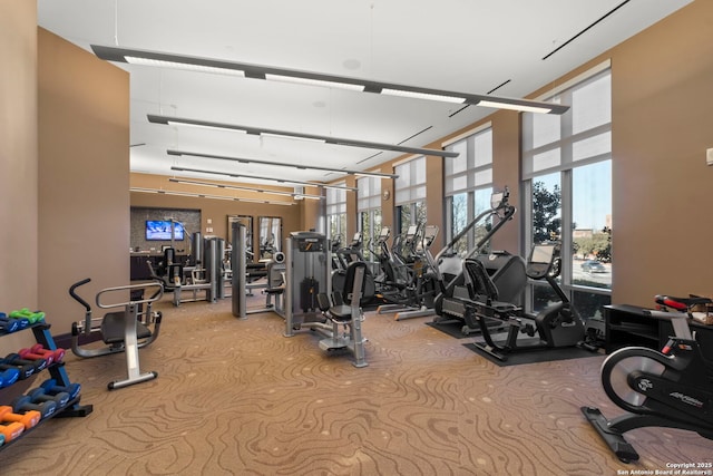 exercise room featuring carpet floors