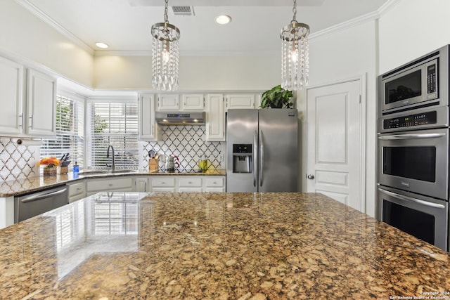 kitchen with stainless steel appliances, crown molding, a sink, and under cabinet range hood