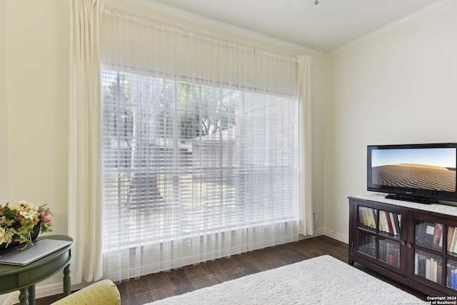 bedroom featuring baseboards, multiple windows, ornamental molding, and dark wood-style flooring