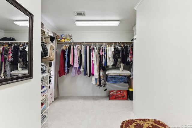 walk in closet featuring carpet and visible vents