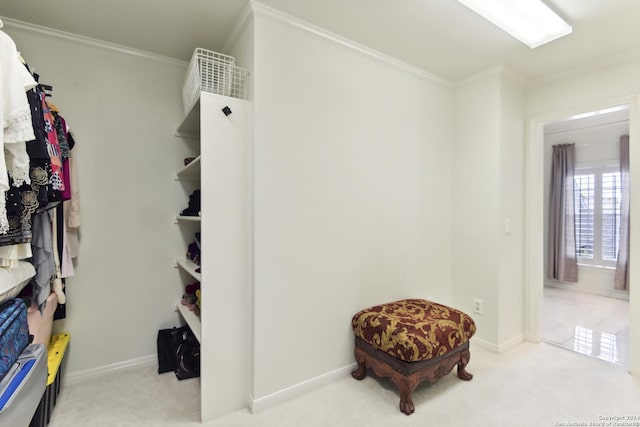 walk in closet featuring carpet floors