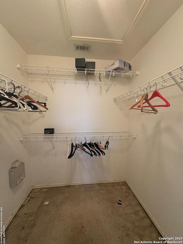 spacious closet with visible vents